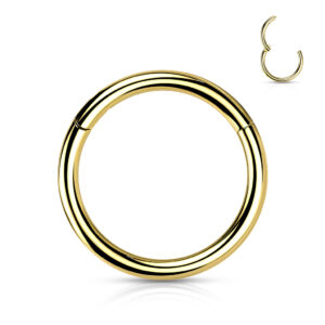 Gold Titanium Hinged Ring – 16G hypoallergenic implant-grade titanium with a secure hinged closure, ideal for various piercings.