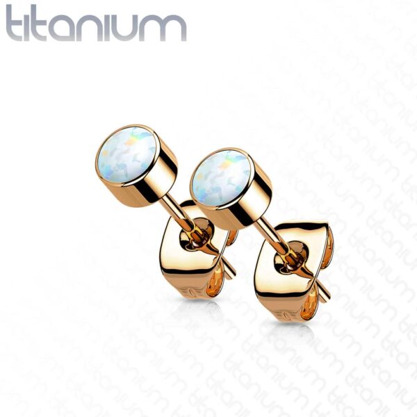 Pair of Titanium Opal Earrings