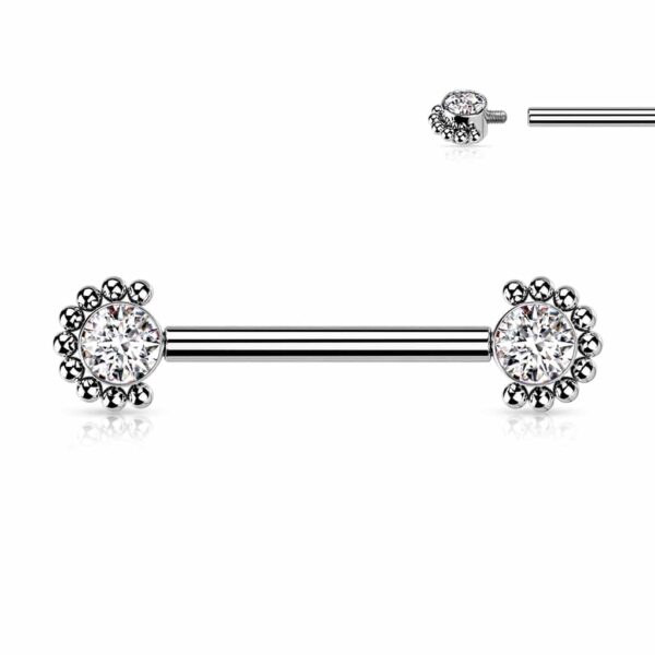 Titanium Jeweled Barbell