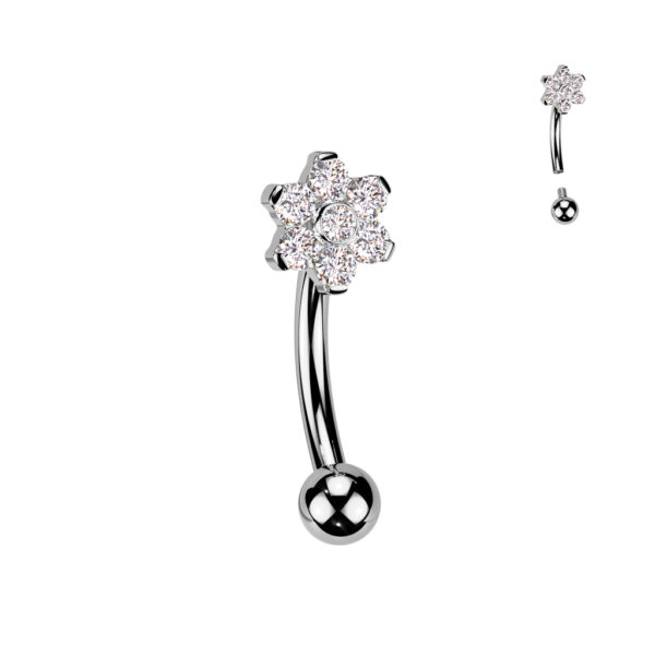 Daisy Dream Curved Barbell