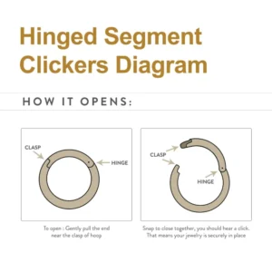 Diagram of a titanium hinged clicker ring by Invictus Body Jewelry, showing the hinge and clasp mechanism with labeled parts