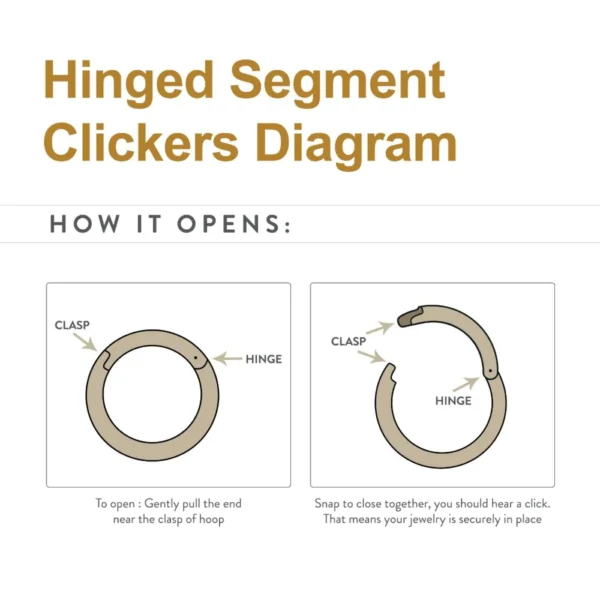 Diagram of a titanium hinged clicker ring by Invictus Body Jewelry, showing the hinge and clasp mechanism with labeled parts