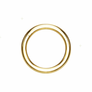 Auric Edge Gold Stainless Steel Hinged Ring 14G 10mm