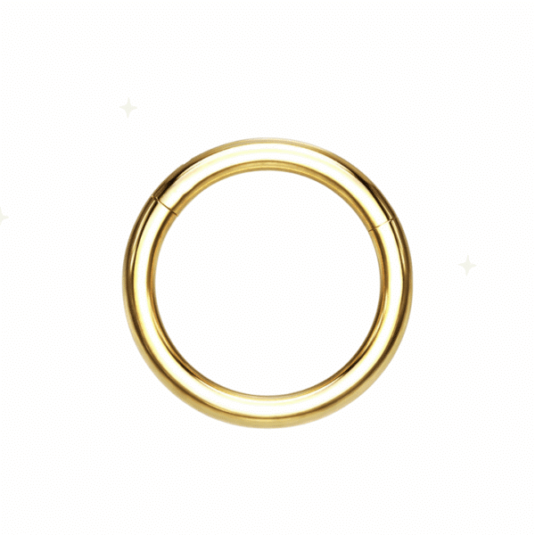 Gold Titanium Hinged Ring 18G in multiple diameters